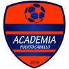 away team logo