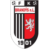 home team logo