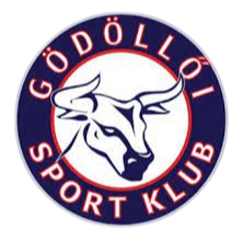 home team logo