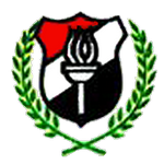 home team logo