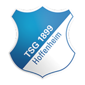 home team logo