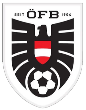 home team logo
