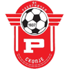 home team logo