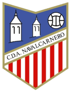 home team logo