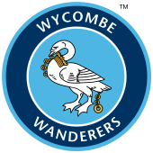 home team logo