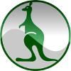 home team logo