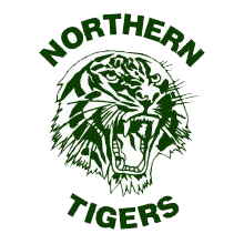 home team logo