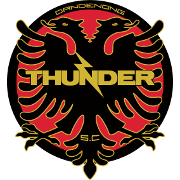 home team logo