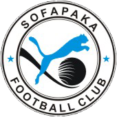 home team logo
