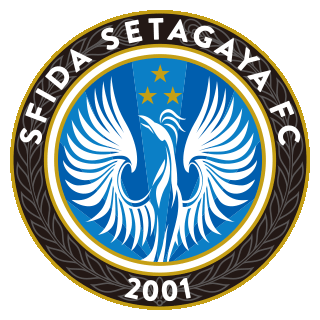 home team logo