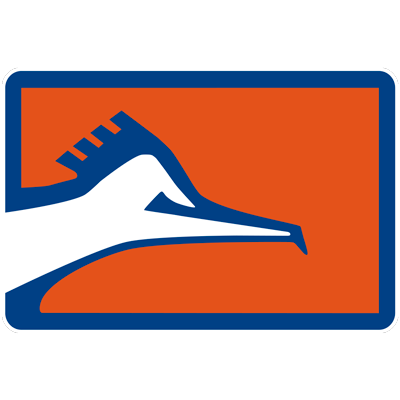 home team logo