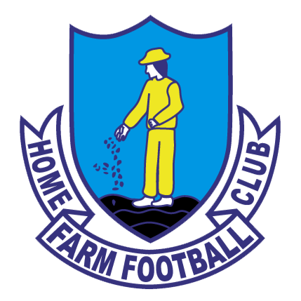 home team logo