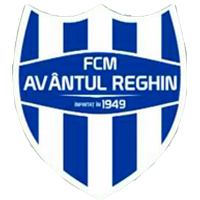 home team logo