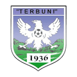 home team logo