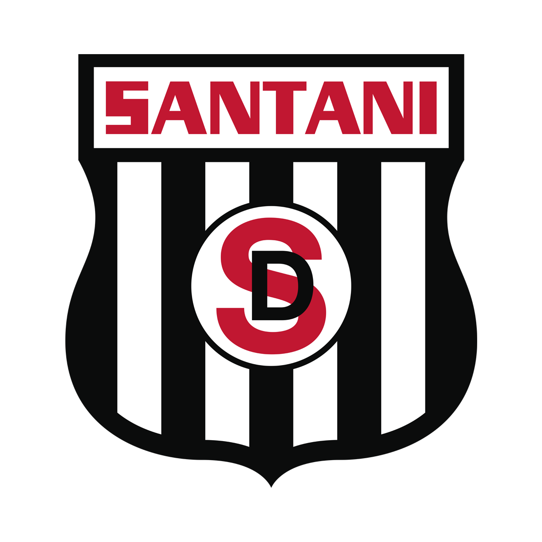 home team logo