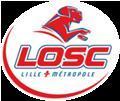 home team logo