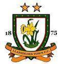 home team logo