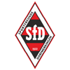 home team logo