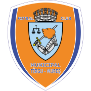 home team logo