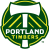 home team logo