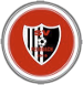 home team logo