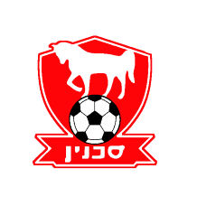 home team logo