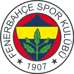 home team logo