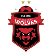 home team logo