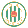 home team logo