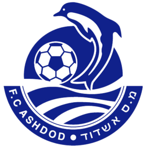 home team logo