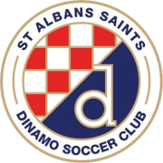 home team logo