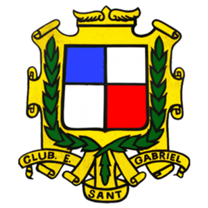 home team logo