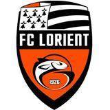 home team logo