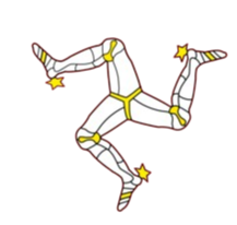 home team logo