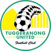 home team logo