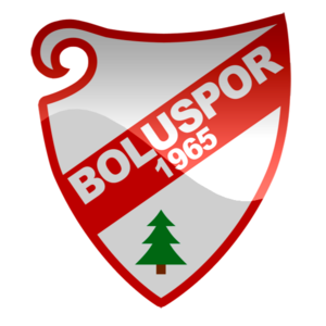 home team logo