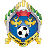 home team logo