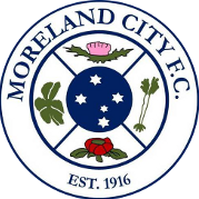 home team logo