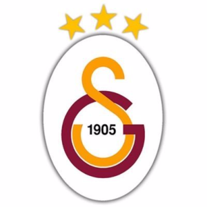 home team logo