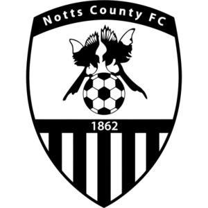 home team logo