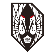 home team logo