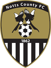 home team logo