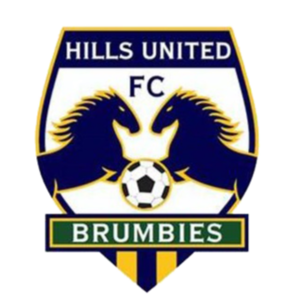 home team logo