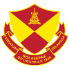 home team logo