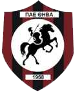 home team logo