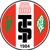 home team logo