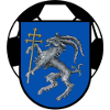 home team logo