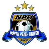 home team logo