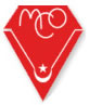 home team logo