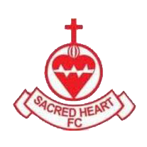 home team logo